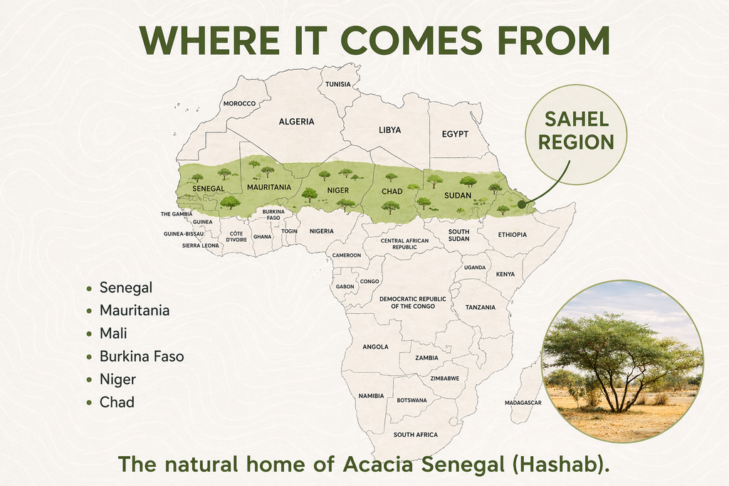 100% Pure Acacia Senegal Fibre – Premium Prebiotic Fibre (500g)