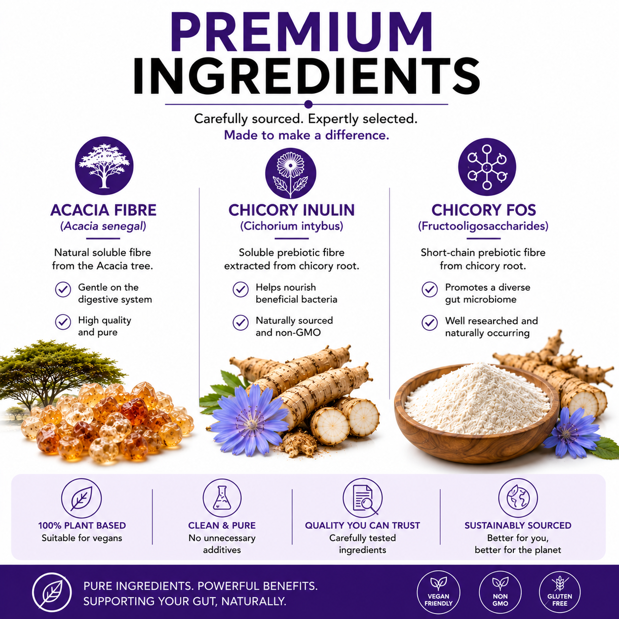 3Fibres – Premium Acacia, Inulin & FOS Prebiotic Fibre Blend (300g)