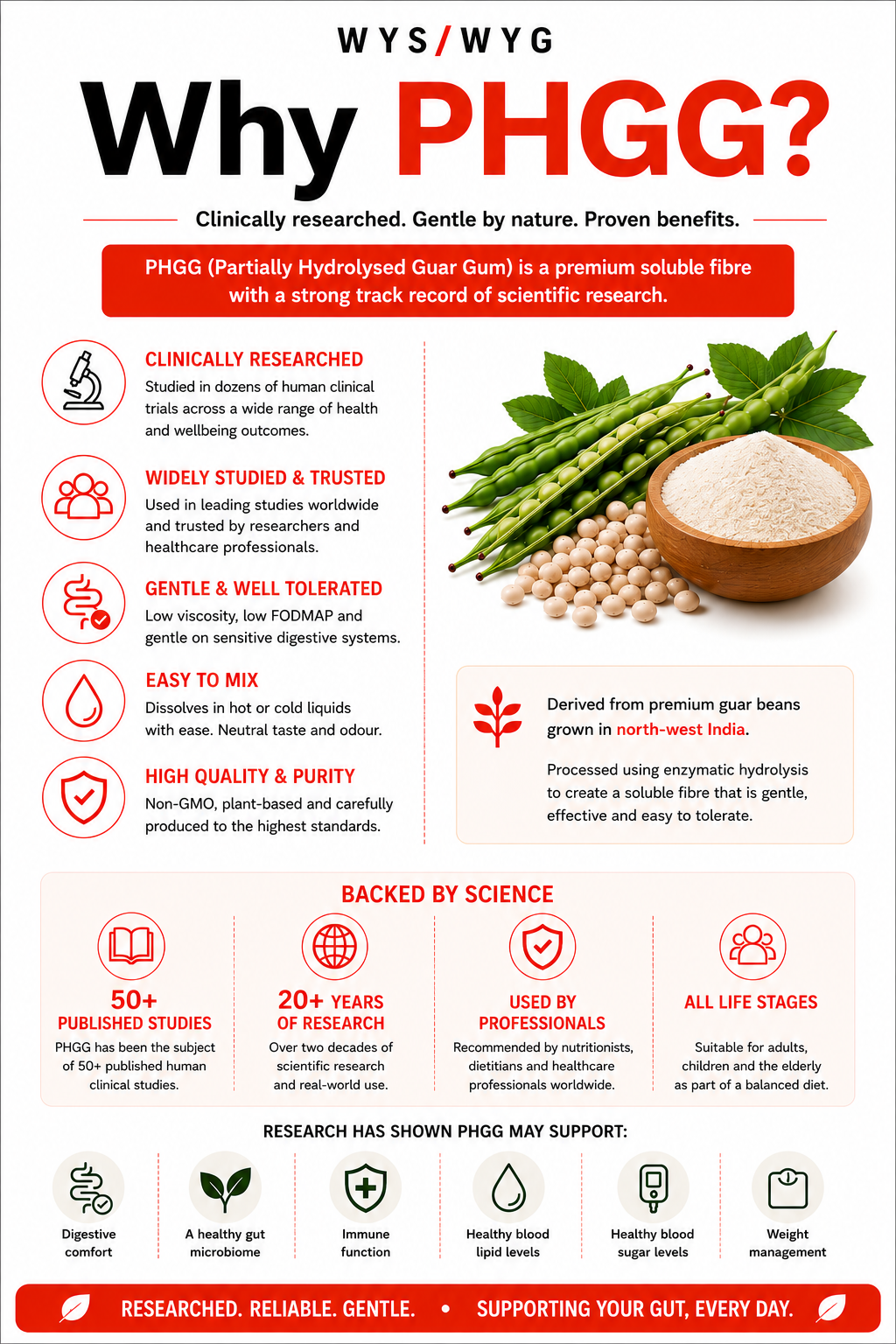 DualFibre – Acacia Senegal & PHGG Prebiotic Fibre Blend (300g)