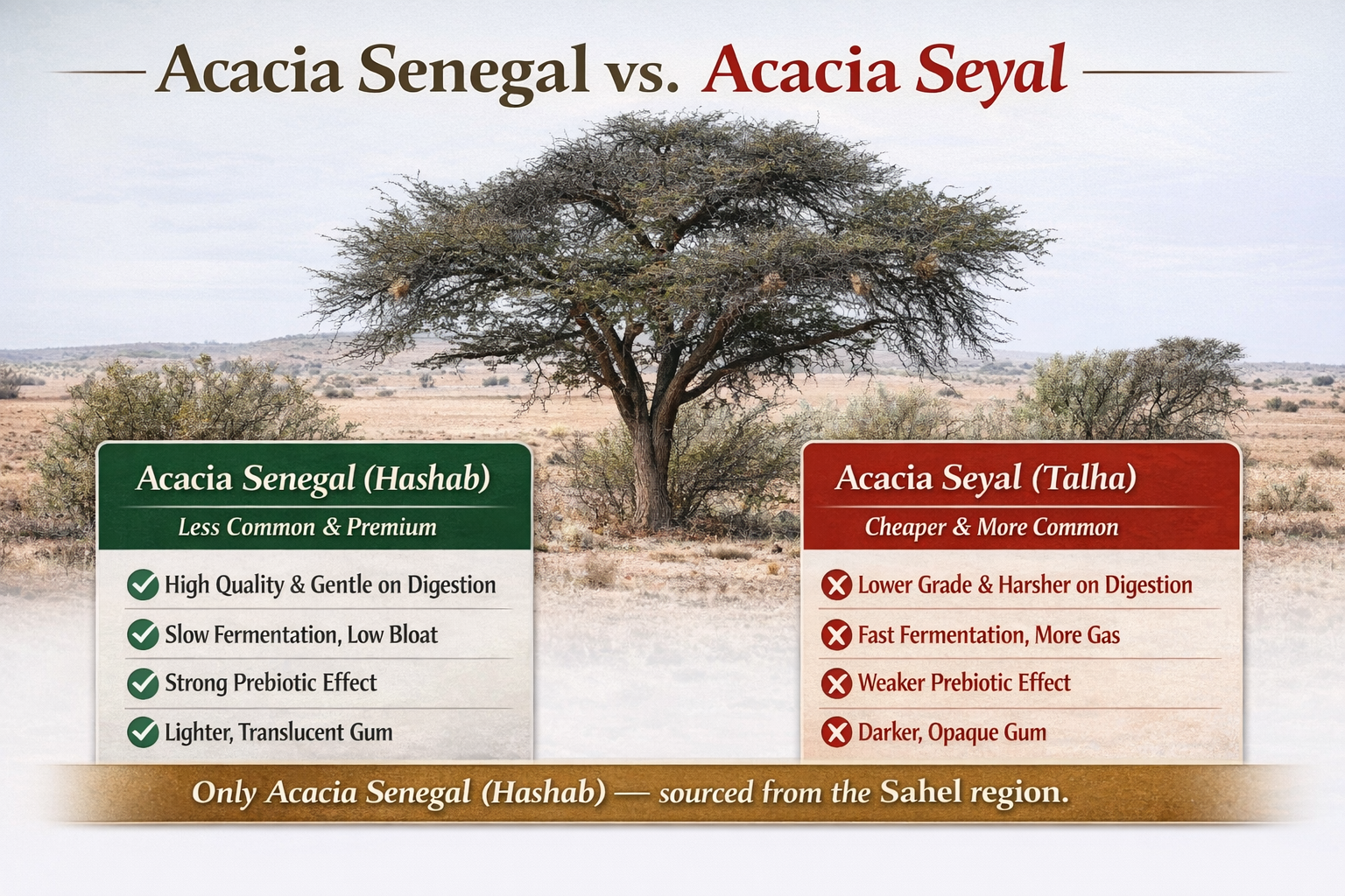 100% Pure Acacia Senegal Fibre – Premium Prebiotic Fibre (500g)